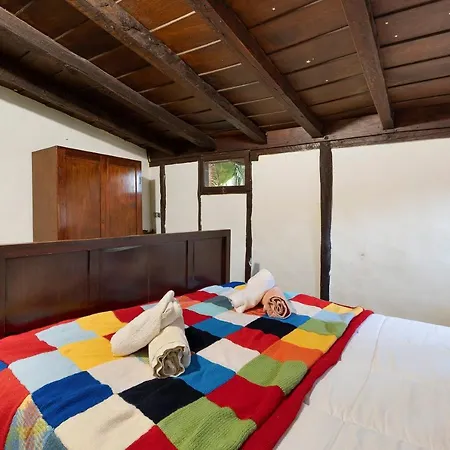 17th Century Canary Mansion ヴィラ *